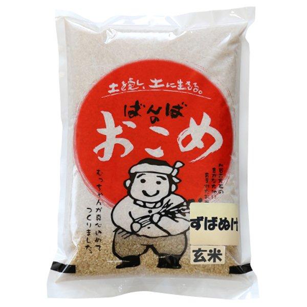 新米 令和5年  2023年産 石川県産 特別栽培米 ずばぬけ 玄米2kg コシヒカリ 一等米 産地直送 ばんば