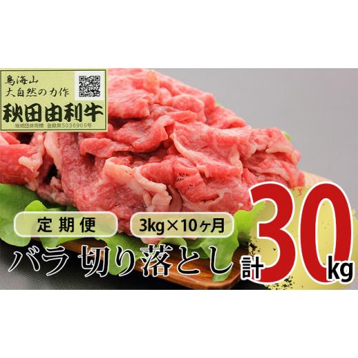 ふるさと納税 秋田県 にかほ市 《定期便》10ヶ月連続 秋田由利牛 バラ切り落とし 3kg（1kg×3パック）