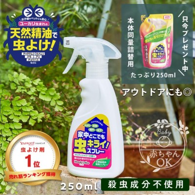 日用雑貨 | (まとめ)大日本除蟲菊 クモがいなくなるスプレー4本(×3