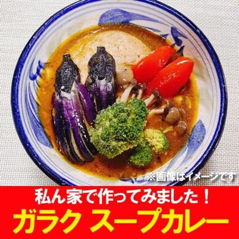 札幌スープカレー ガラク スープカレー GARAKU チキン カレー 1個×3 ガラクのスープカレー