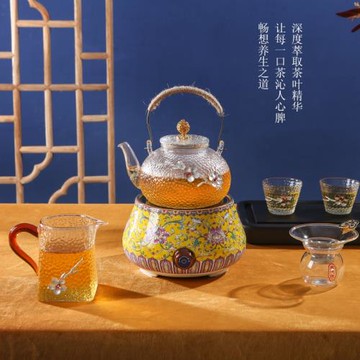 電陶爐水壺家用電器錘玻璃電茶壺加厚燒水壺套裝大容量玻璃壺公杯