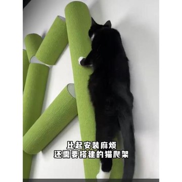 免打孔貓抓柱貓爬架貓爬樹通天樹自粘貓爬貼柱壁式貓爬架貼墻跳臺