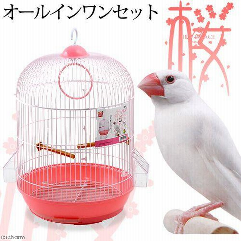 スーパーセール タイムセール 時間 マルワ 35角型 鳥かご 3点まとめ売り インコ 文鳥 フィンチ 鳥かご・パーツ類