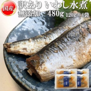 在庫処分 いわし 水煮 無添加 国産 480g 訳あり メール便 送料無料 [いわし水煮120g×4袋 BS] ネコポス 即送