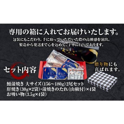 ふるさと納税 宮崎県 宮崎市 宮崎・鹿児島産 鰻蒲焼 大サイズ2尾セット_M069-008_03