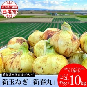 新玉ねぎ　新春丸　L?2Lサイズ10kg　35?55玉程度・N050-18