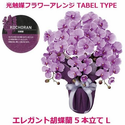 光触媒フラワーアレンジ「エレガント胡蝶蘭5本立てL」  (人工観葉植物 造花 フェイクフラワー インテリア V-CAT お部屋 廊下 オフィス)