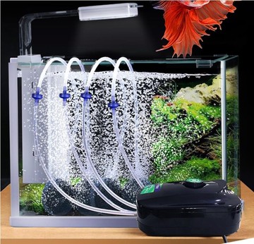 AC草影】MY FIRST TANK 輕鬆換水懶人魚缸組（水藍色）【一個】免換水 