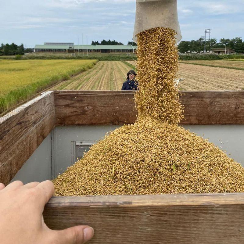 水菜土農園精米令和4年産 秋田県産 あきたこまち 5kg 古代米お試し袋付き