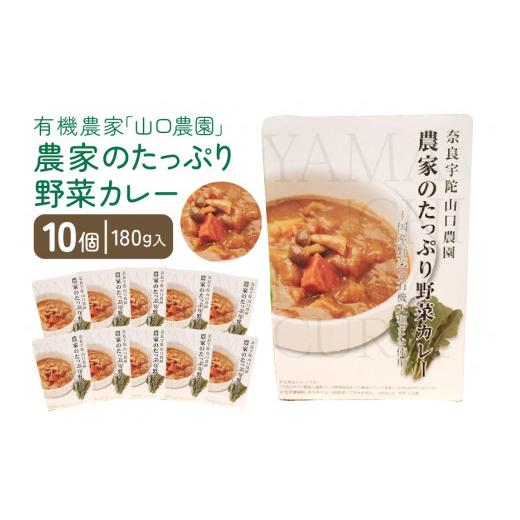 ふるさと納税 奈良県 宇陀市 農家のたっぷり野菜カレー　１０個／山口農園　有機野菜　オーガニック　伝統野菜　レトルト　カレー　キャンプ　奈良県　宇陀市