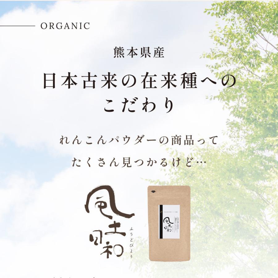 れんこんパウダー 風土日和 210g（70gx3袋） 国産 無農薬 粉末 離乳食 食物繊維 レンコン パウダー ヨーグルト 熊本県産 蓮根粉 料理