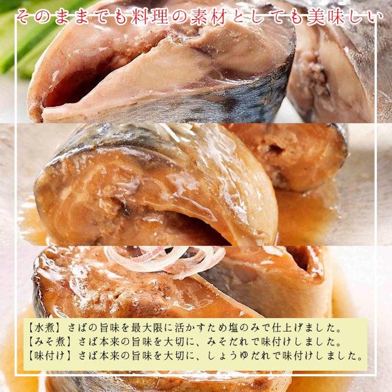 缶詰 魚 防災 非常食 鯖缶 3種缶 水煮缶 味噌煮缶 味付け缶 各4缶 12缶