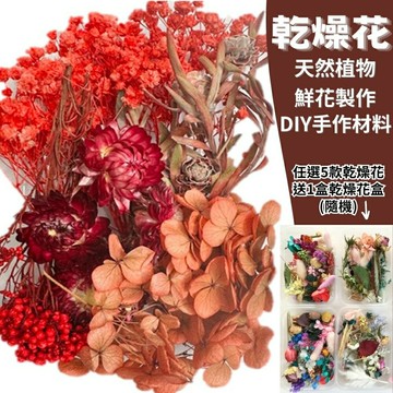 【A-ONE】教學花材包 光輝火焰 乾燥花材包 花藝材料包 花束材料包 永生花材盒 壓花 貼花 A13