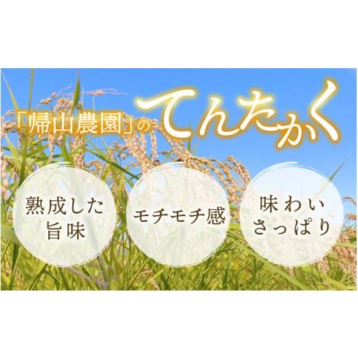 ふるさと納税 福井県 大野市 越前大野産 一等米 帰山農園の「てんたかく」2kg 合計6kg