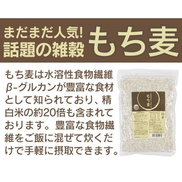 もち麦 国産 500g 全国 産直米 お奨め おすすめ ポイント消化 特産品