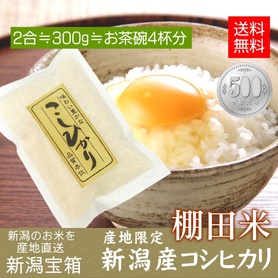 希少米 棚田米 新潟県産 コシヒカリ 2合×1袋 500円 米 お米 白米300g 産地限定 送料無料 お試し ポイント消化