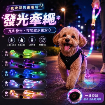 ✨發光牽繩✨ 寵物牽繩 狗狗牽繩 狗牽繩 狗狗外出用品 寵物用品 狗狗發光牽繩 LED牽繩 反光牽繩 牽引繩散步外出用品