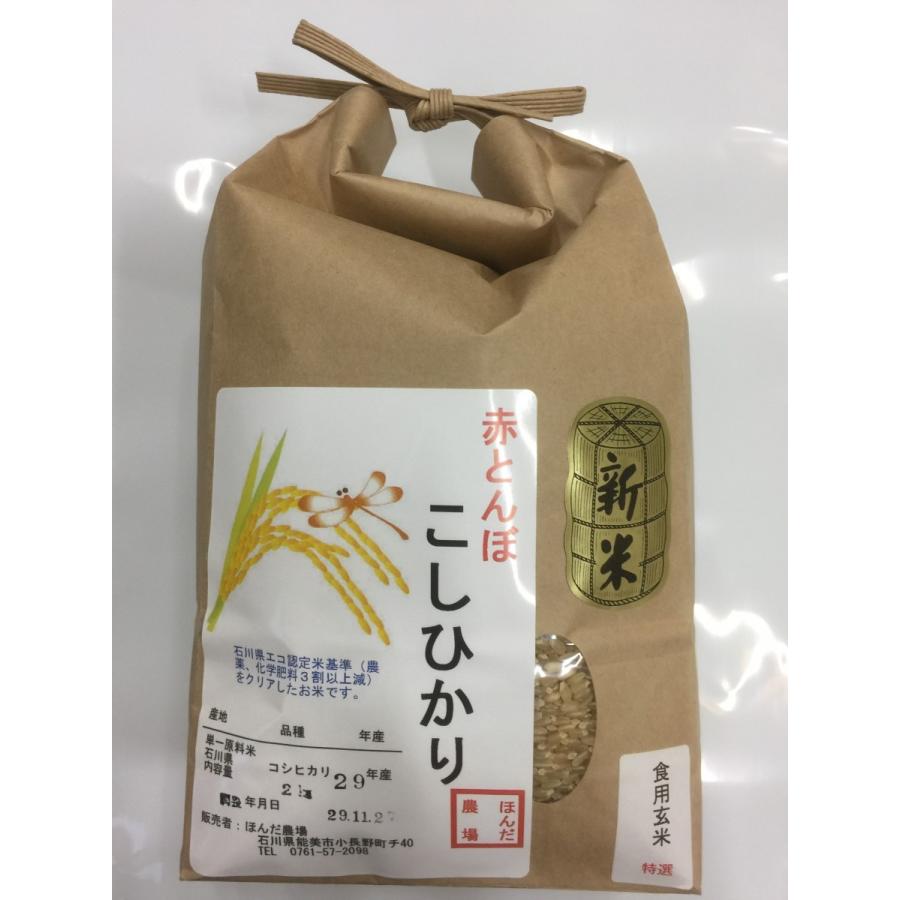 令和5年産 新米 加賀百万石 こしひかり エコ栽培米 石川県産 新米  赤とんぼ  食用 玄米 2kg  送料無料