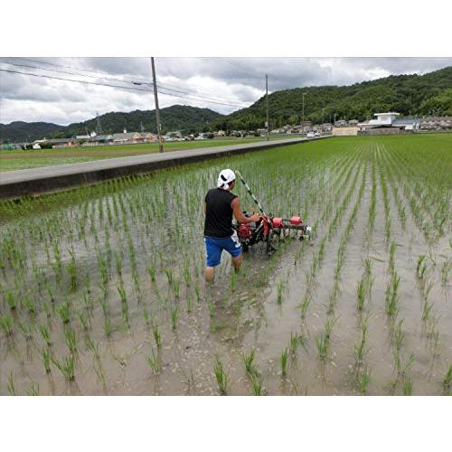  玄米10kg 有機JAS認証 イセヒカリ 兵庫県産