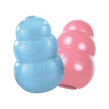 KONG 美國Puppy / 幼犬訓練玩具-藍色/粉色 S (KP3) (隨機出貨)