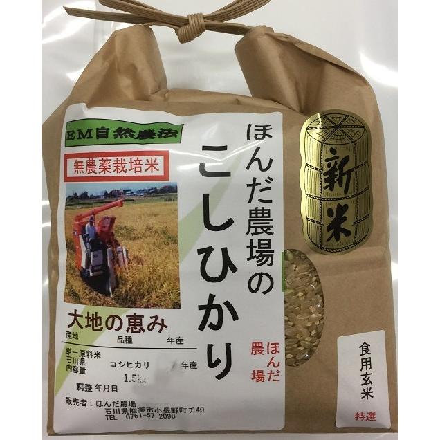 令和5年産 新米 無農薬栽培栽培米 こしひかり 玄米 1,5kg   自然農法  「大地の恵」米