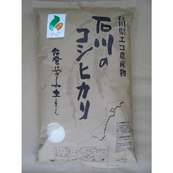 新米　令和5年度産 ギフト！　石川県羽昨産コシヒカリ白米5キロ