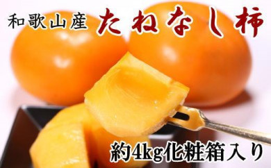 和歌山産のたねなし柿2L～4Lサイズ約4kg（化粧箱入り）★2023年9月末頃より順次発送