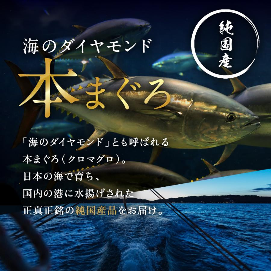 マグロ 本まぐろ 生まぐろ 国産生本マグロ 刺し身 冷蔵でお届け！大トロ 中トロ 赤身の食べ比べセット合計900グラム（各300g）お取り寄せ お歳暮 プレゼント