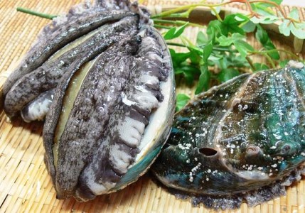 やわコリ食感紀州の蝦夷アワビ 