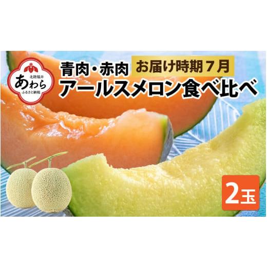 ふるさと納税 福井県 あわら市 アールスメロン 食べ比べ2玉（約1.6kg以上×2玉）青肉、赤肉品種 高級メロン！ ／ マスクメロン 大玉 果物 フルー…