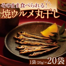 焼ウルメ丸干し20袋セット(20g×20袋)海産物 いわし 鰯 ウルメイワシ おつまみ おかず24-11