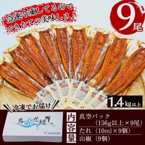 ふるさと納税 鹿児島県産うなぎ蒲焼 名水慈鰻 大9尾(1尾156g以上)＜計1.4kg以上＞ e8-001 鹿児島県志布志市