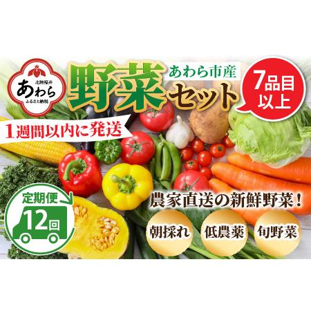 ふるさと納税 農家直送 旬の野菜セット 7品目以上 1箱 ／ 定期便 12回 季節 野菜 ボックス BOX セット セレクト 農家 お.. 福井県あわら市