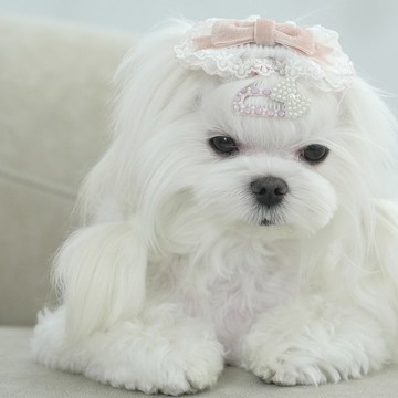 NO.118 塑料防滑夾