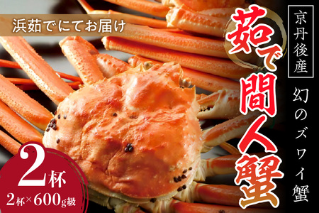  京丹後産 茹で間人蟹（中） 鮮度抜群、浜茹でにてお届け！！ 600g級×2杯