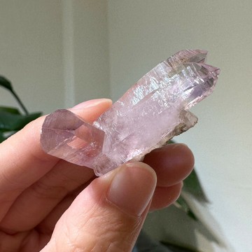 圖桑帶回 |珍稀礦 Vera Cruz 克魯茲紫水晶 靈魂伴侶 母子水晶 彩虹 帶母岩 紫水晶 天然水晶 T240321-906