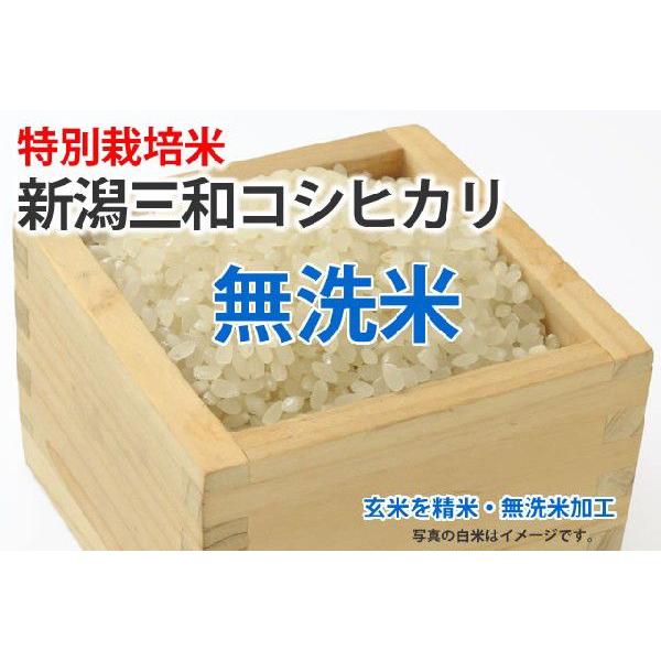 令和５年産新米・特別栽培米・新潟三和コシヒカリ