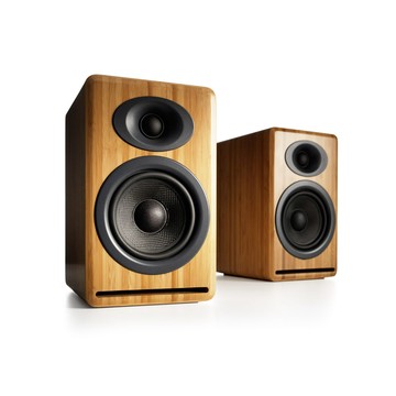 Audioengine P4 被動式喇叭-竹紋款