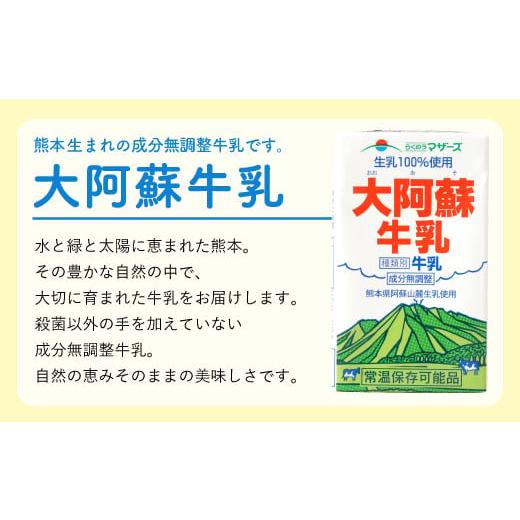 ふるさと納税 熊本県 益城町 大阿蘇牛乳 250ml×24本×12ヶ月 合計288本