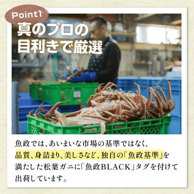 ふるさと納税 京丹後市 蟹の匠　魚政の茹で松葉ガニ　魚政BLACK　特選　800g級　2匹(2024年1月〜発送)