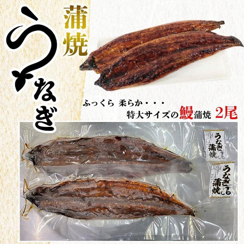 うなぎ蒲焼 鰻蒲焼 2尾 特大サイズ 蒲焼 土用の丑の日 うなぎ ウナギ 鰻 中国産 shr-021