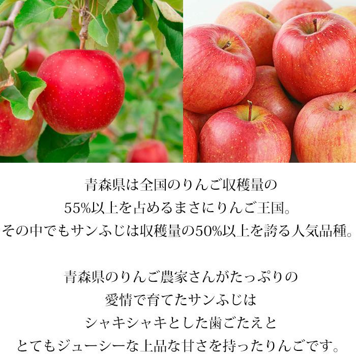 りんご 青森県産 高糖度サンふじ 約5kg 18〜20玉 糖度14度以上