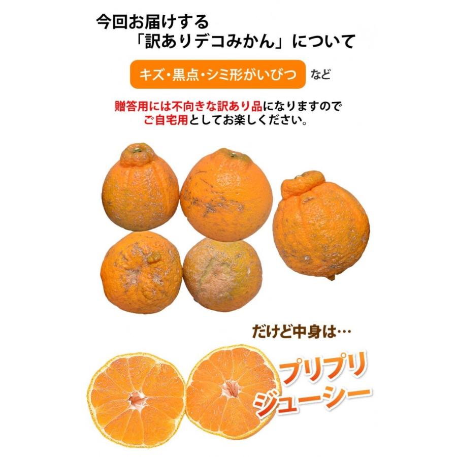 みかん デコポン 同品種 訳ありデコみかん 1.5kg S〜3L 送料無料 2セット購入で1セットおまけ 3セット購入で3セットおまけ 熊本県産 フルーツ ミカン 蜜柑