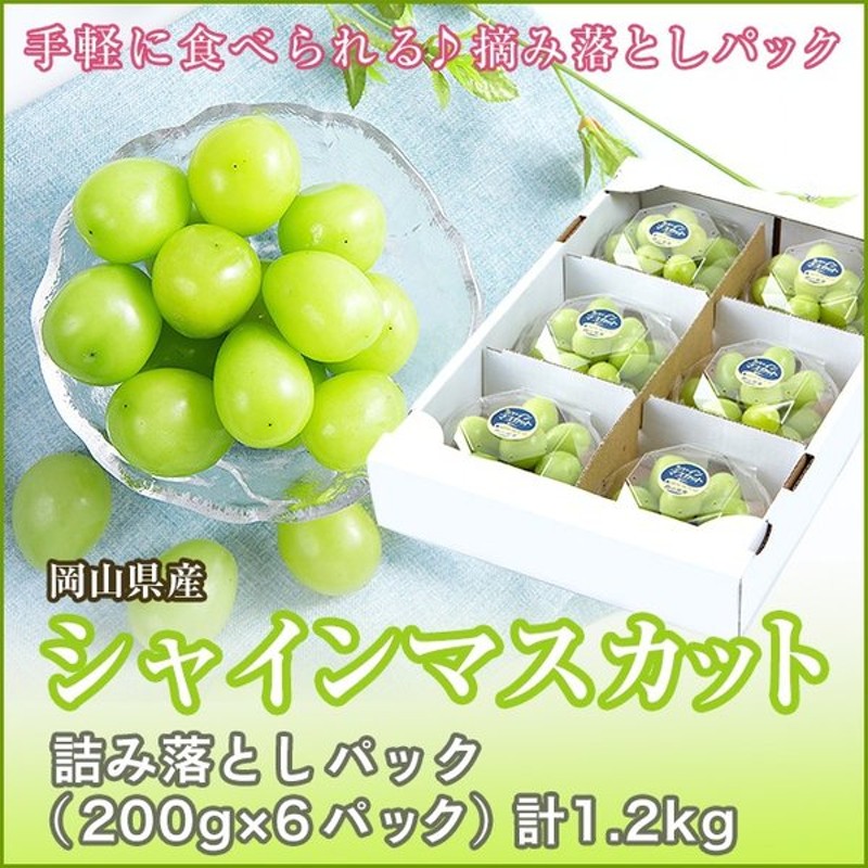 メール便送料無料対応可】 お取り寄せ お中元 ぶどう 岡山県産 晴王 400ｇ