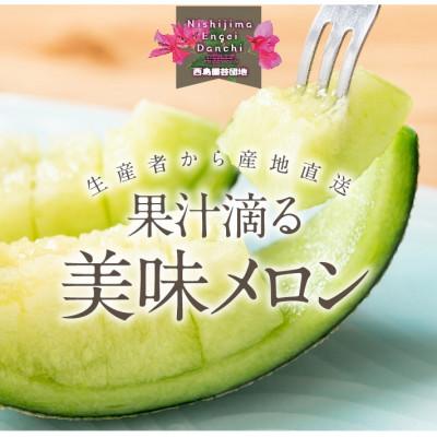 ふるさと納税 南国市 高知県南国市産 メロンといちごセット