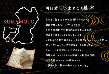 令和5年産 阿蘇のお米 コシヒカリ10kg 1袋 白米