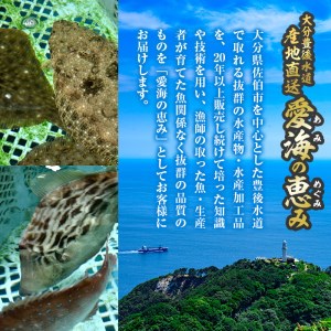 天然 鮮魚詰め合わせ (合計約2.8-3.2kg・3種以上) 直送 産直 漁師 魚 鮮魚 天然 マダイ 鯛 マアジ 鯵 イサキ サバ 鯖 ブリ 鰤 獲れたて 刺身 煮つけ 塩焼き 冷蔵 豊後水道 鮮魚