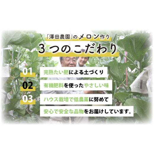 ふるさと納税 福井県 あわら市 青肉マスクメロン（1.5kg以上 1玉入）味も見た目も抜群！アールスメロン  ／ 期間限定 果物 フルーツ 産地直送 青…