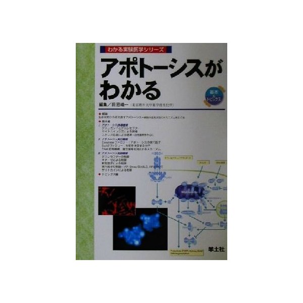 アポトーシスがわかる わかる実験医学シリーズ基本＆トピックス／田沼靖一(編者)