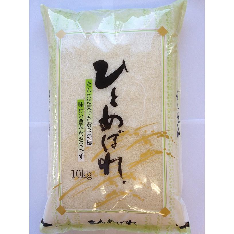 令和５年産 山形県産 ひとめぼれ 白米 2kg 送料込み